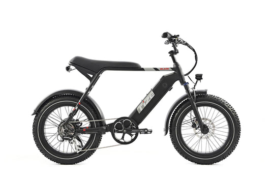 Rize Blade Electric-Range 35 miles/Speed 25mph